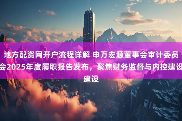 地方配资网开户流程详解 申万宏源董事会审计委员会2025年度履职报告发布，聚焦财务监督与内控建设