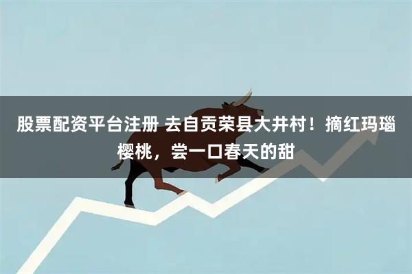 股票配资平台注册 去自贡荣县大井村！摘红玛瑙樱桃，尝一口春天的甜