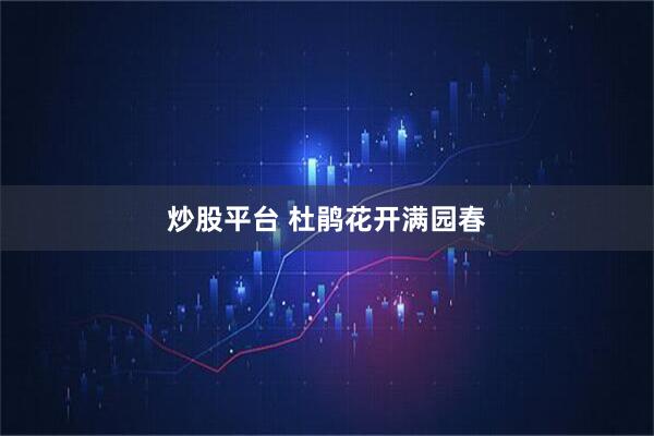 炒股平台 杜鹃花开满园春